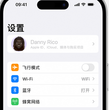 辉南appleID维修服务iPhone设置中Apple ID显示为灰色无法使用 