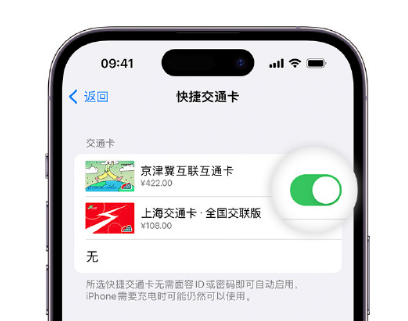 辉南apple维修点分享iPhone上更换Apple Pay快捷交通卡手绘卡面 