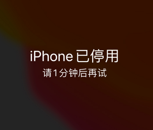 辉南苹果手机维修分享:iPhone 显示“不可用”或“已停用”怎么办？还能保留数据吗？ 