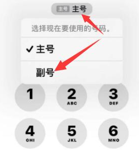 辉南苹果14维修店分享iPhone 14 Pro Max使用副卡打电话的方法 