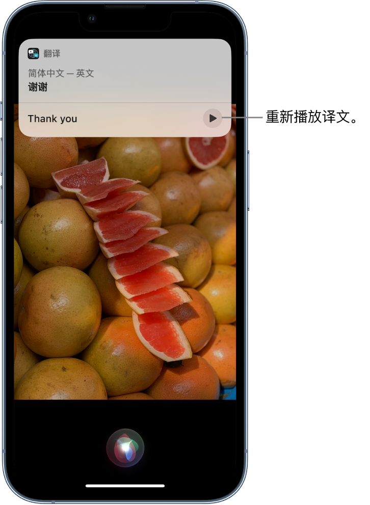 辉南苹果14维修分享 iPhone 14 机型中使用 Siri：了解 Siri 能帮你做什么 