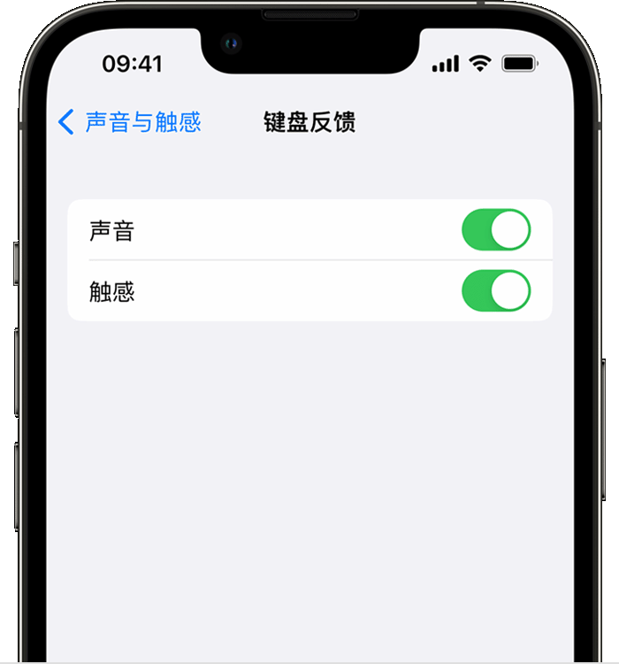 辉南苹果14维修分享iPhone 14 系列机型如何开启键盘声音或触感反馈 