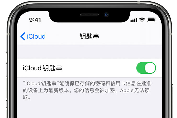 辉南苹果手机维修分享在 iPhone 上开启 iCloud 钥匙串之后会储存哪些信息 