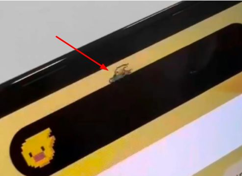 辉南苹果14维修分享iPhone 14 Pro Max灵动岛怎么养宠物 