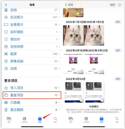 辉南苹果手机维修分享iOS 16 中相册重复项目功能使用方法 