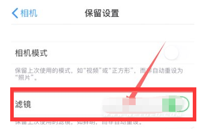 辉南苹果13维修分享iPhone13拍照有绿点是怎么回事 