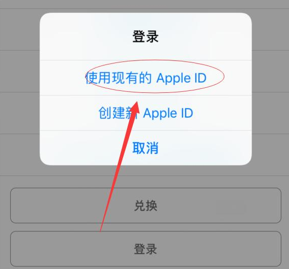 辉南苹果手机维修分享两台iPhone设备可以同时登录一个Apple ID吗 