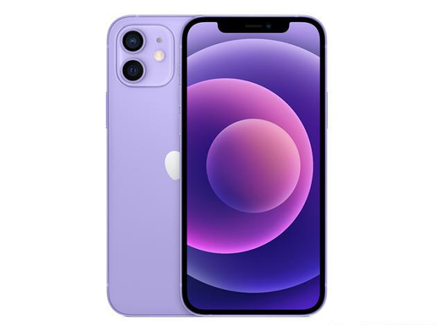 辉南苹果手机维修分享现阶段要不要入手紫色版iPhone12 