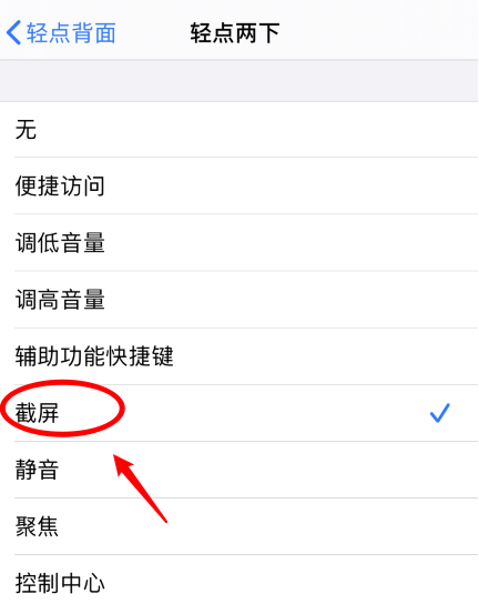 辉南苹果手机维修分享iPhone12如何启用双击截屏 
