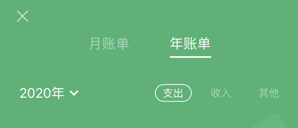 辉南苹果手机维修分享如何在 iPhone 上查看支付宝和微信年支出账单 